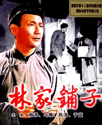 Affiche du film : La boutique de la famille lin