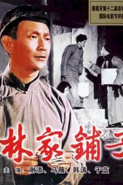 Affiche du film = La boutique de la famille lin