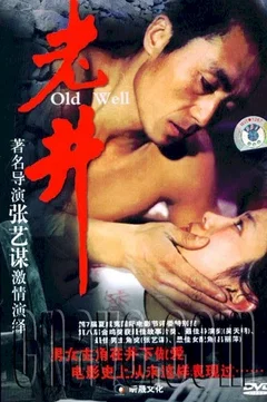 Affiche du film Le Vieux puits