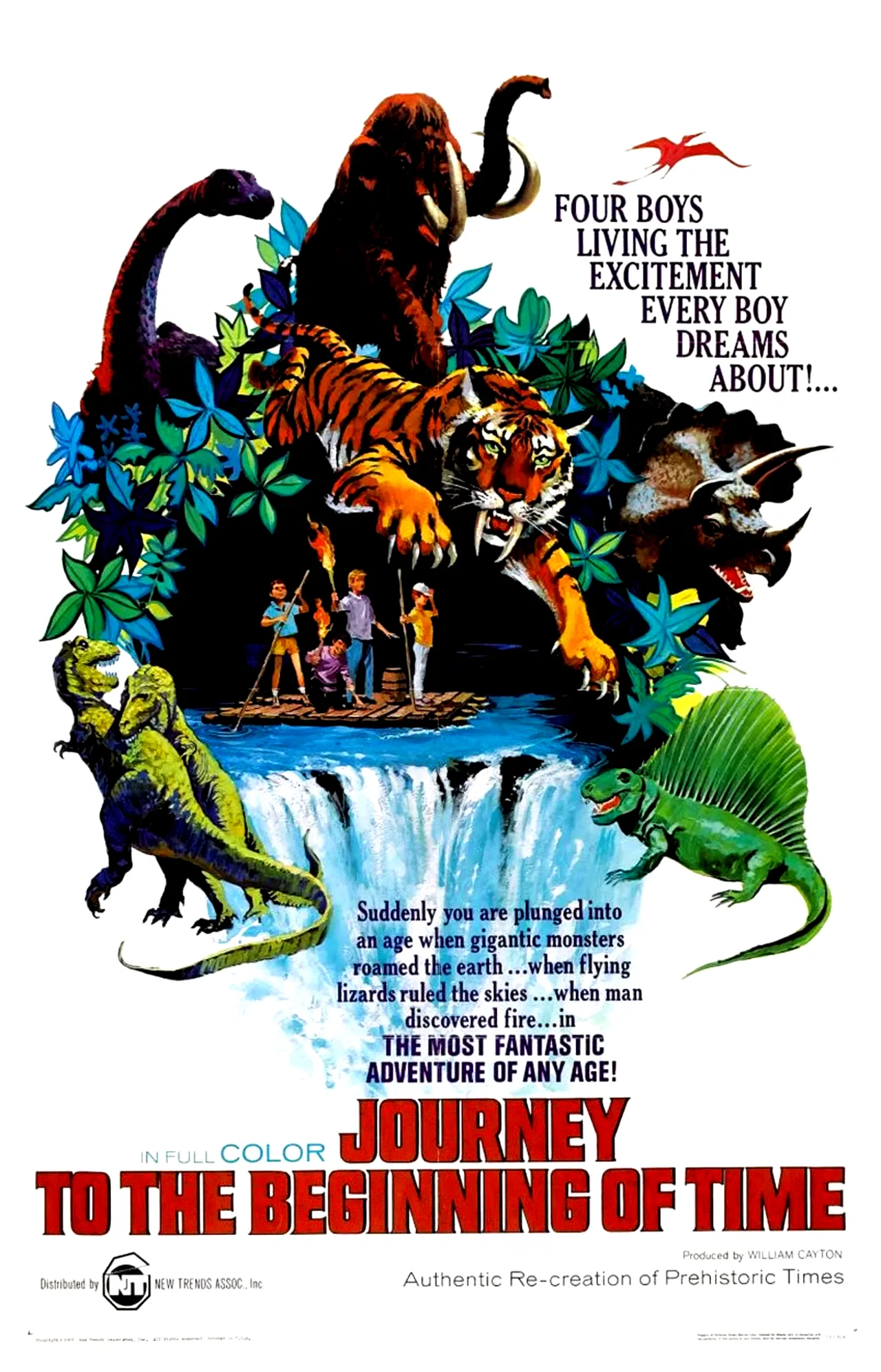 Affiche du film : Voyage dans la préhistoire