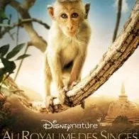 Miniature photo du film : Au royaume des singes