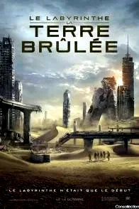Affiche du film : Le Labyrinthe : la terre brûlée