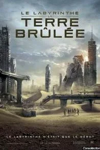 Affiche du film : Le Labyrinthe : la terre brûlée