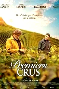 Affiche du film : Premiers crus
