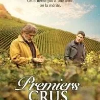 Miniature photo du film : Premiers crus