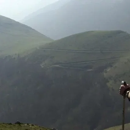 Miniature photo du film : Les Chemins de Compostelle