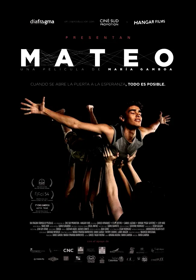 Affiche du film : Mateo