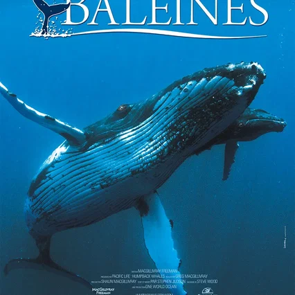 Miniature photo du film : Baleines
