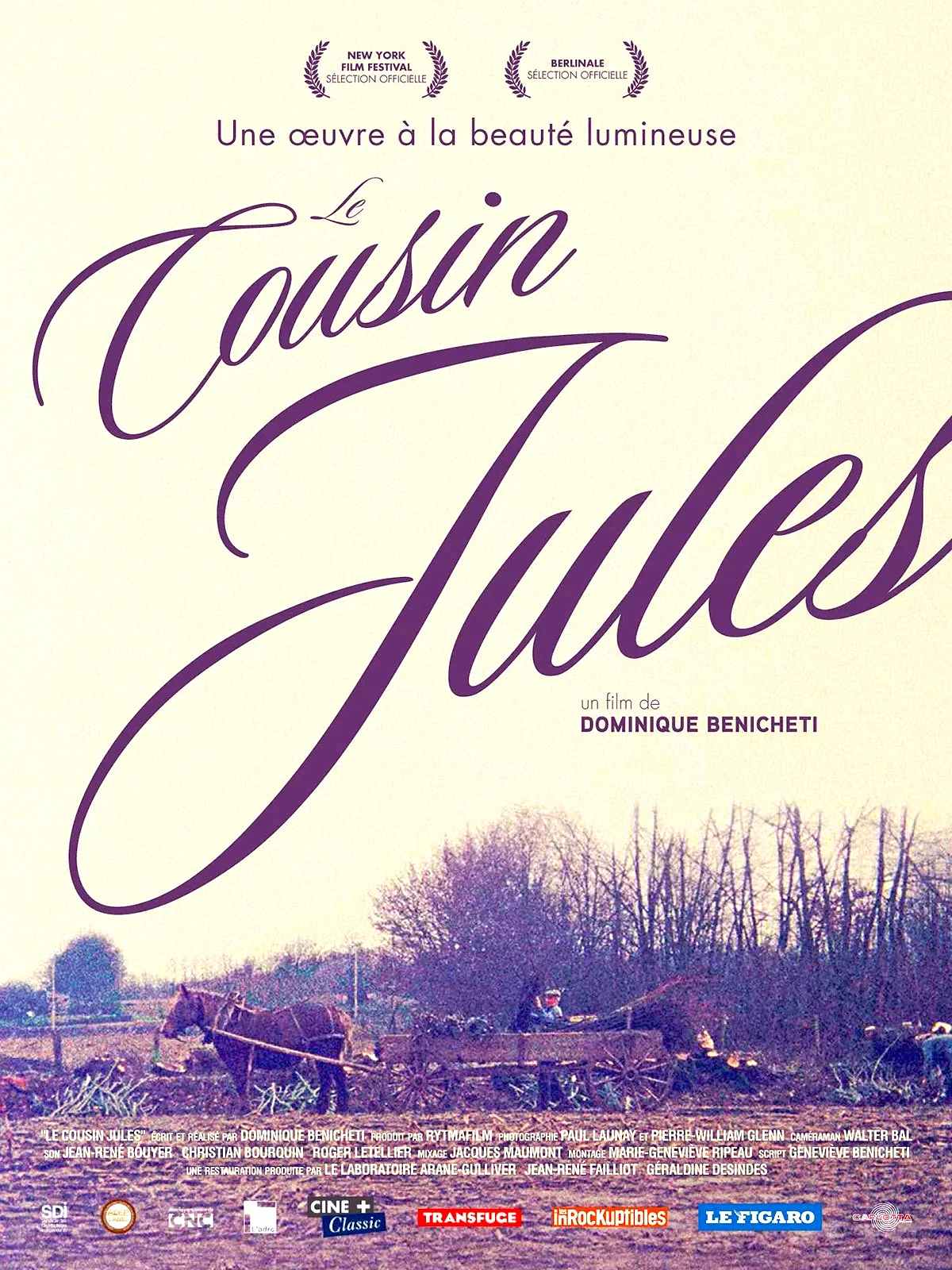 Affiche du film : Le Cousin Jules