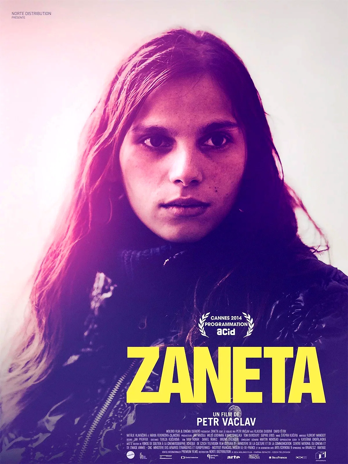 Affiche du film : Zaneta