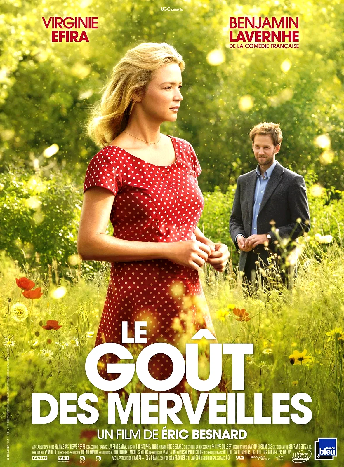 Affiche du film : Le Goût des merveilles