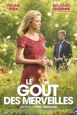 Affiche du film : Le Goût des merveilles