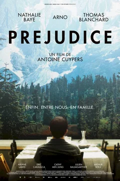 Affiche du film Préjudice