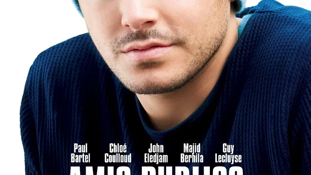 Affiche du film : Amis publics