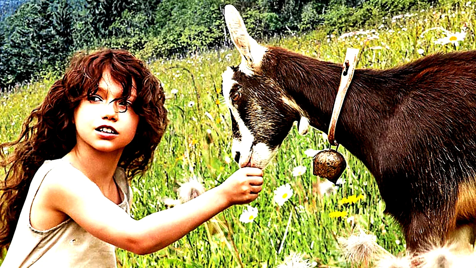 Photo 2 du film : Heidi