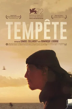 Affiche du film = Tempête