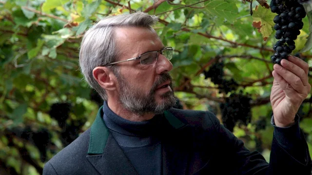 Photo du film : Le Crime du sommelier