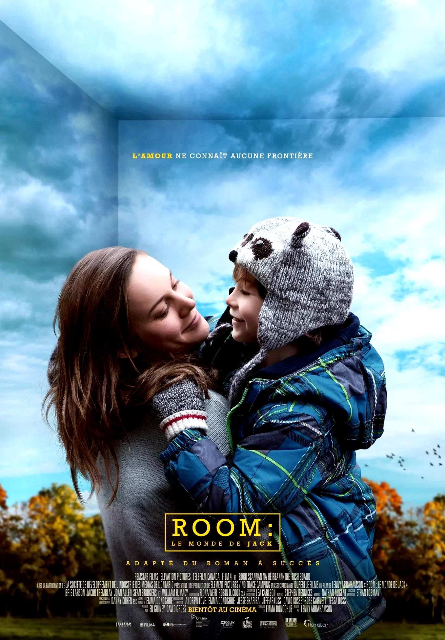 Affiche du film : Room
