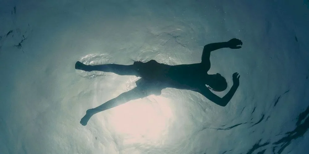 Photo du film : Evolution