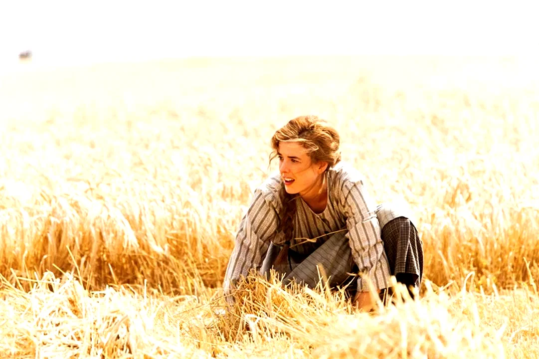 Photo 2 du film : Sunset Song