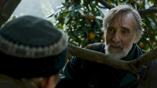 Affiche du film : Mandarines