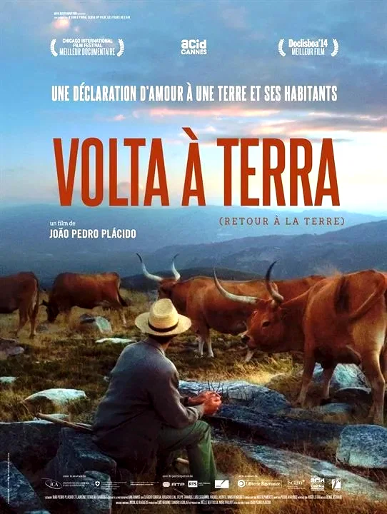 Affiche du film : Volta à terra
