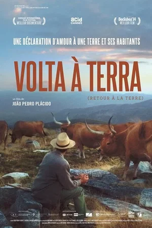 Affiche du film : Volta à terra
