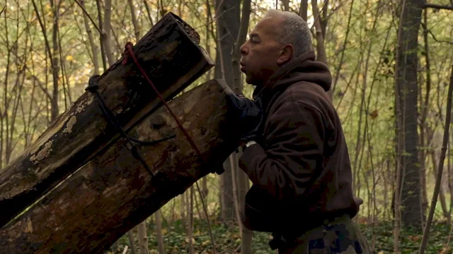 Affiche du film : Le bois dont les rêves sont faits