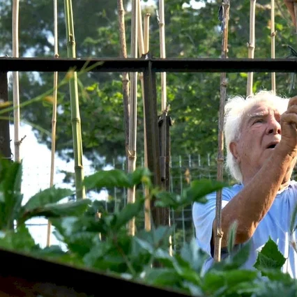 Miniature photo du film : Le Potager de mon grand-père