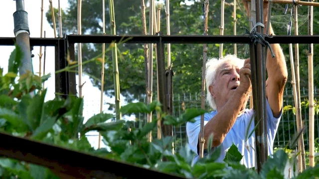 Photo 1 du film : Le Potager de mon grand-père