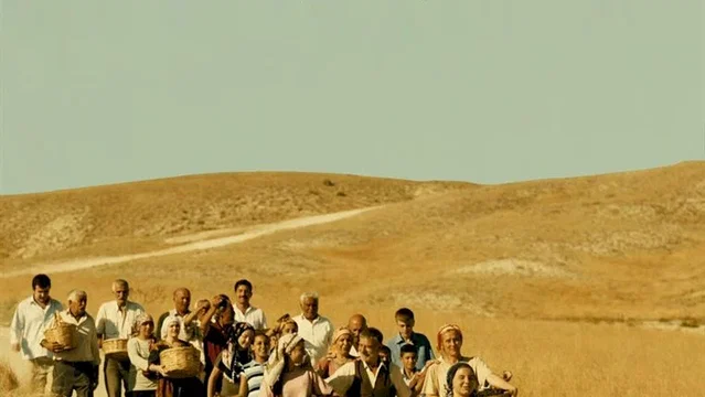 Affiche du film : Les Raisins de l'espoir