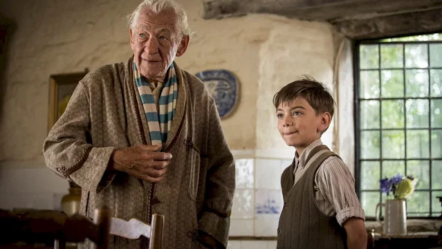 Affiche du film : Mr. Holmes