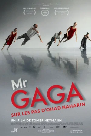 Affiche du film : Mr. Gaga : sur les pas d'Ohad Naharin