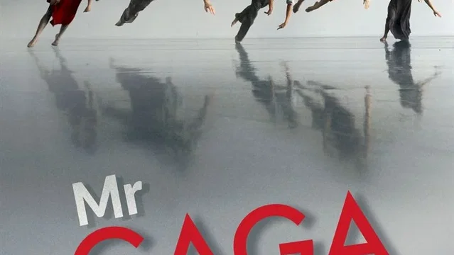 Affiche du film : Mr. Gaga : sur les pas d'Ohad Naharin
