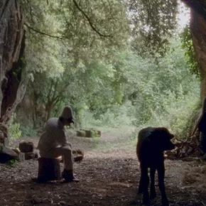 Photo du film : Bella e Perduta