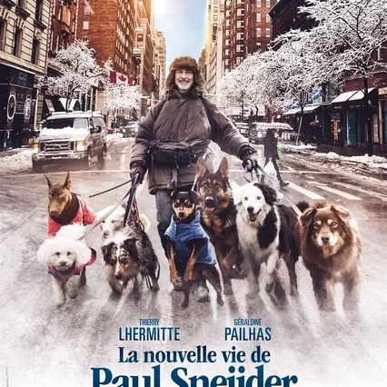 Miniature photo du film : La Nouvelle Vie de Paul Sneijder
