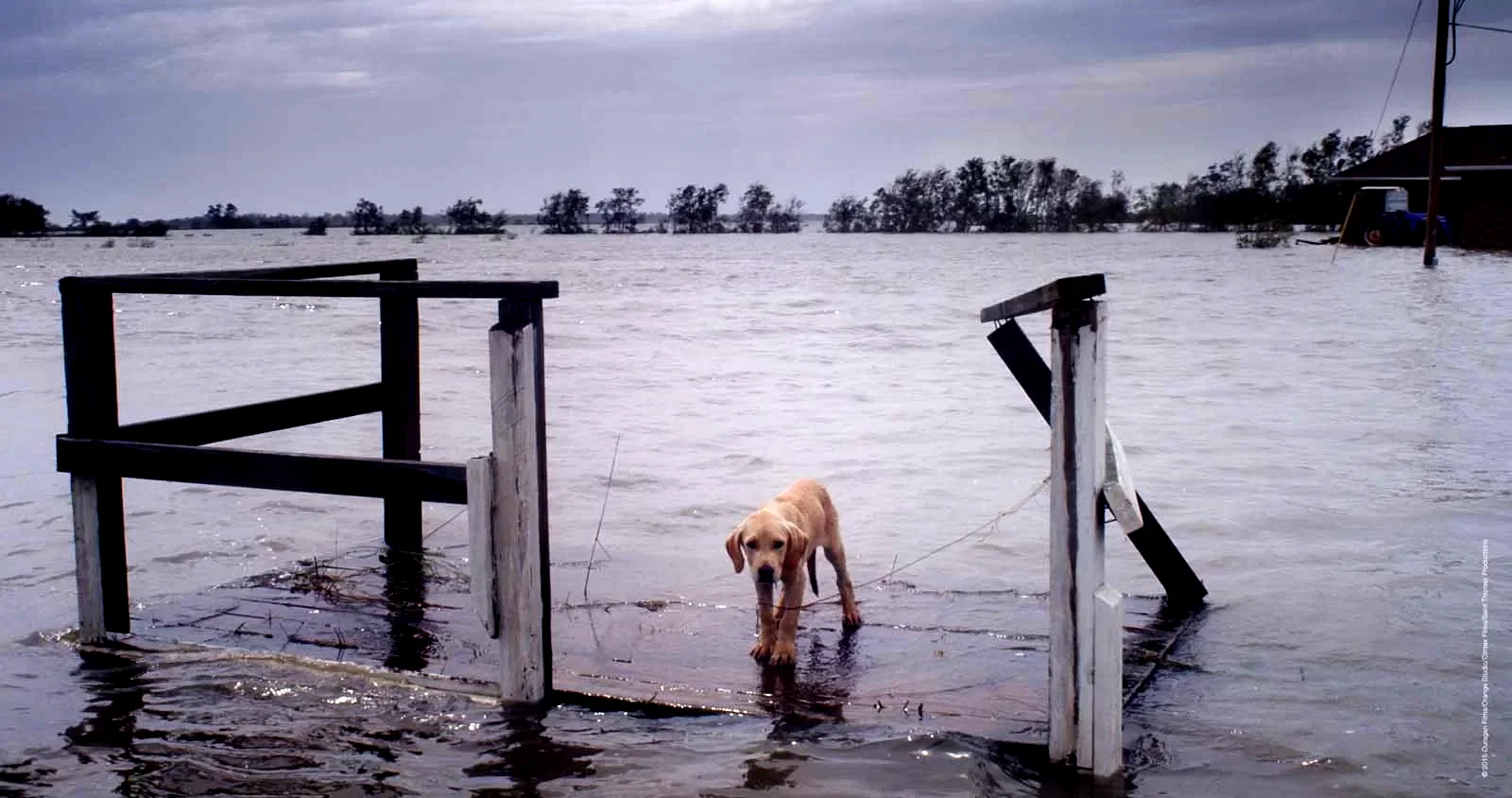 Photo 1 du film : Ouragan