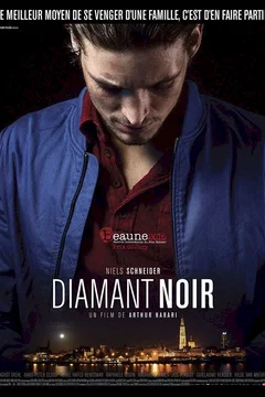 Affiche du film Diamant noir