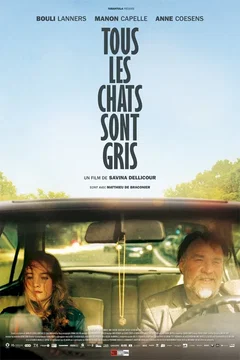 Affiche du film Tous les chats sont gris
