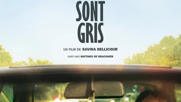 Affiche du film : Tous les chats sont gris