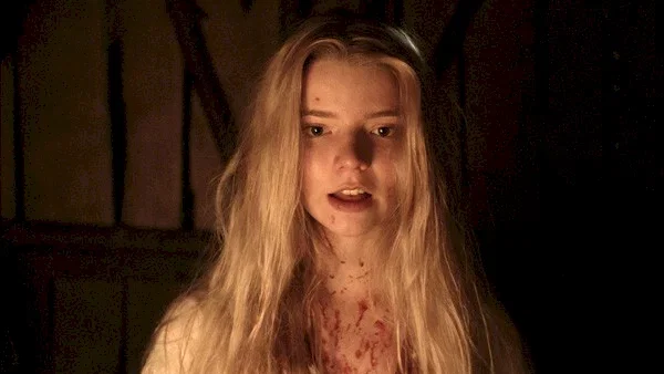 Affiche du film : The Witch