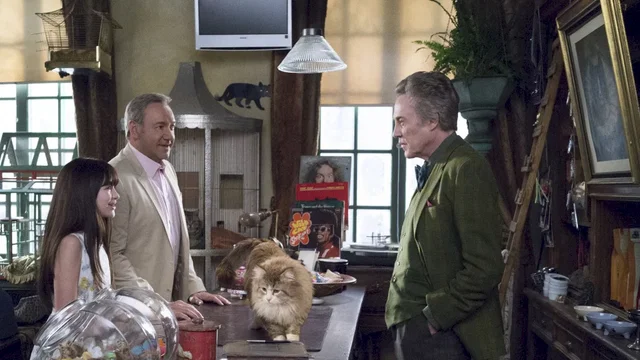 Affiche du film : Ma vie de Chat