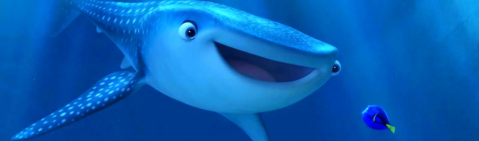 Photo 5 du film : Le Monde de Dory 