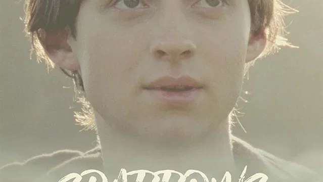 Affiche du film : Sparrows