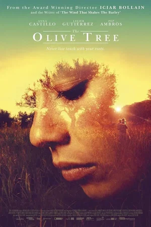 Affiche du film : L'Olivier