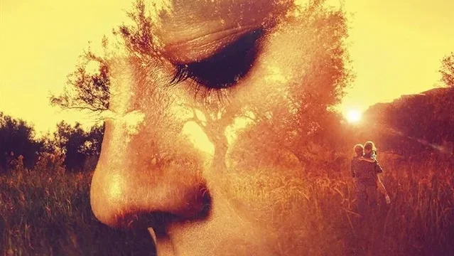 Affiche du film : L'Olivier