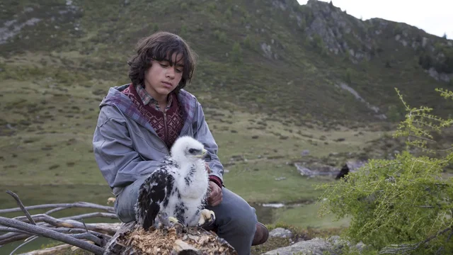 Affiche du film : L'Aigle et l'Enfant