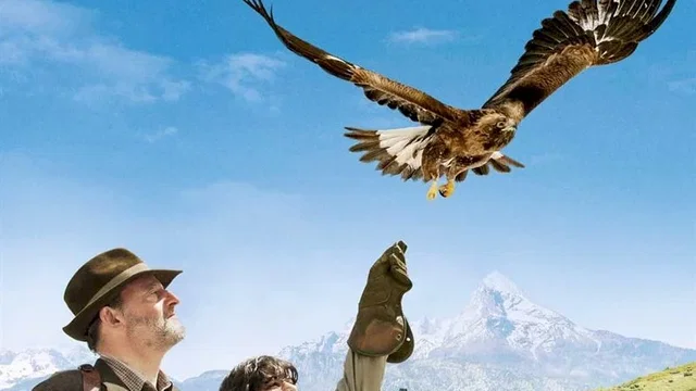 Affiche du film : L'Aigle et l'Enfant