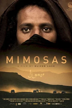 Affiche du film Mimosas