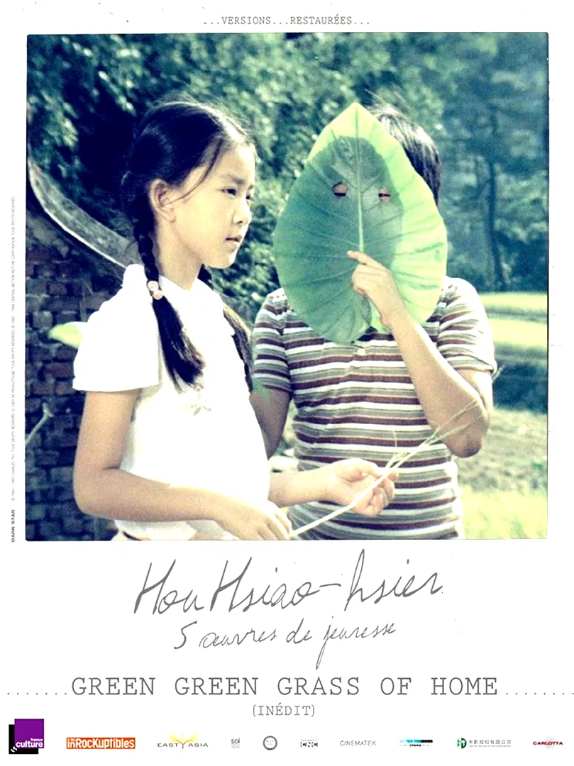 Affiche du film : Green, Green Grass of Home : l'herbe verte de chez nous